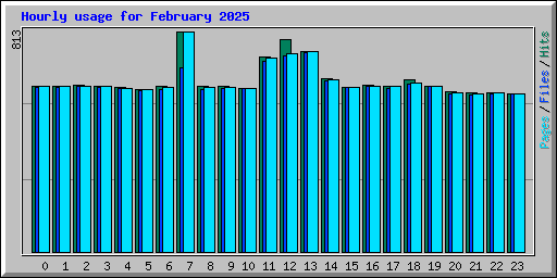 Hourly usage for February 2025